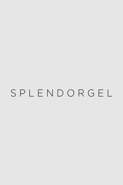 Splendorgel Digital SPI