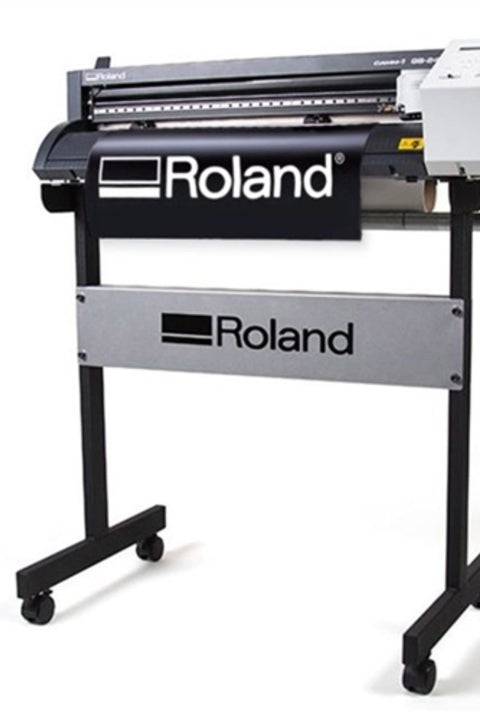 Roland GS2-24