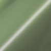 Satin Komodo Green