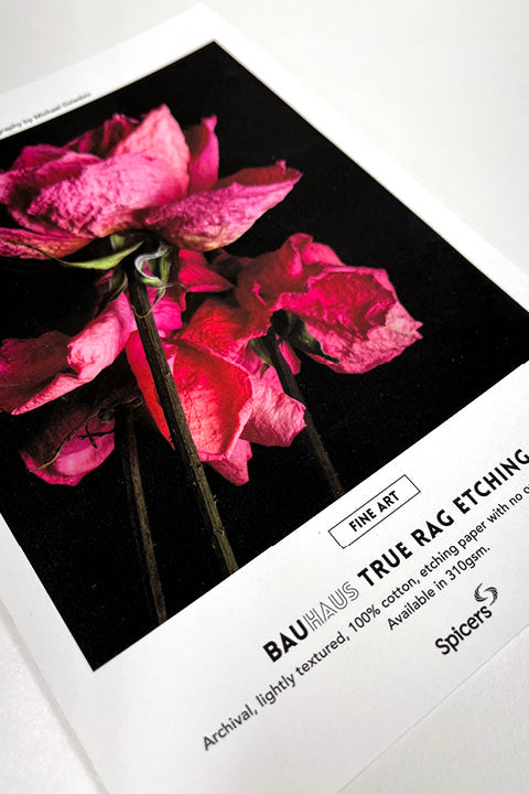 Bauhaus True Rag Etching 310gsm