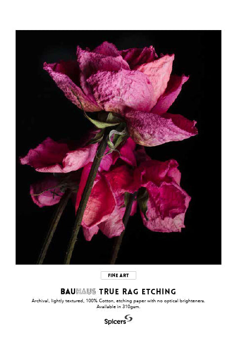 Bauhaus True Rag Etching 310gsm