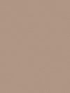 Terracotta Stucco