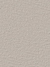 Cashmere Glow Stucco