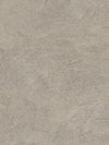 Raw Taupe