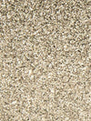 Silver Disco