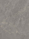 Etruscan Grey