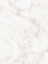 Opal Beige