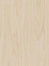 Gold Pale Birch