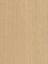 Beige Birch