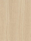 Deep Beige Ash