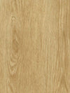 Tan Oak