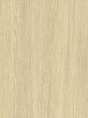 Ivory Oak