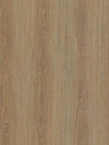 Hard Oak