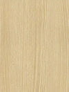 Blond Beech