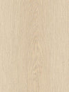 Sand Oak