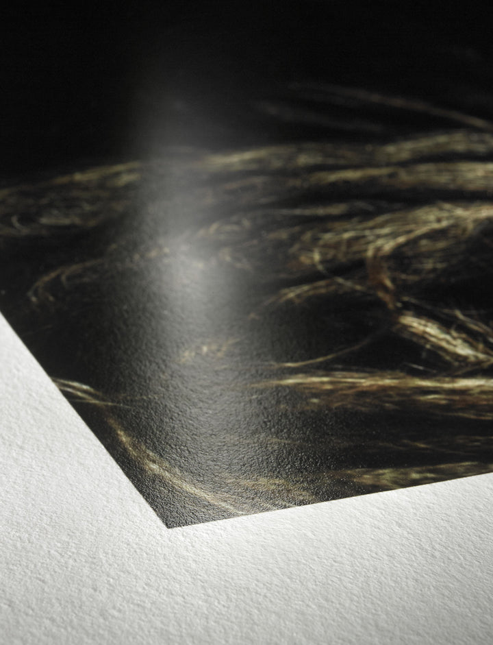 Hahnemühle PhotoRag Baryta