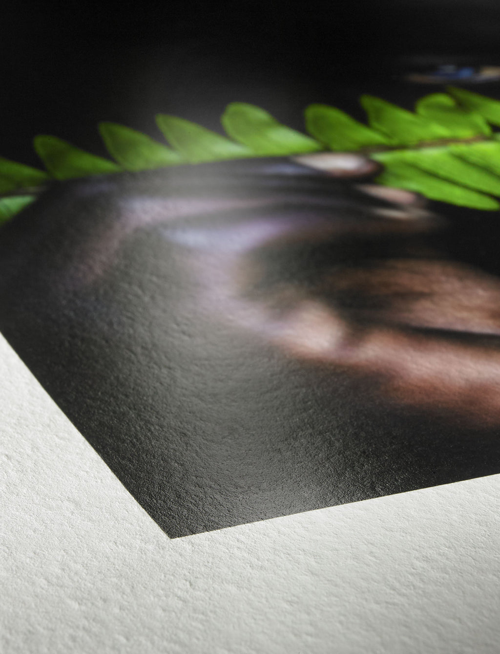 Hahnemühle Photo Rag® Pearl 320gsm