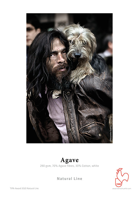 Hahnemühle Agave 290gsm