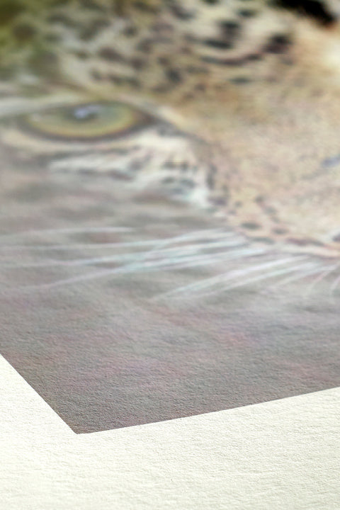 Hahnemühle Bamboo 290gsm
