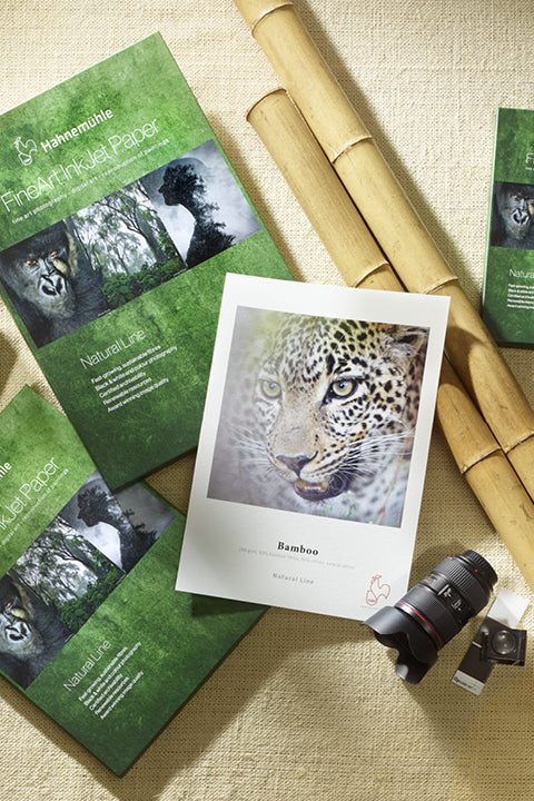 Hahnemühle Bamboo 290gsm