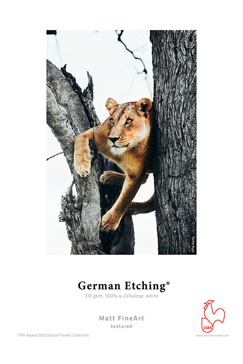 Hahnemühle German Etching® 310gsm