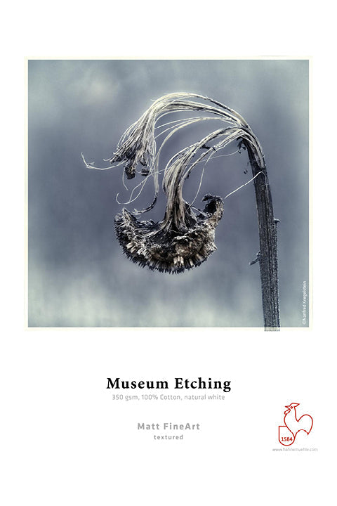Hahnemühle Museum Etching 350gsm