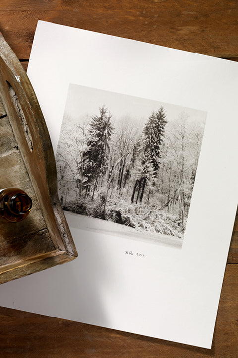 Hahnemühle Platinum Rag 300gsm