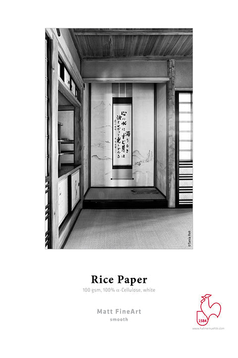 Hahnemühle Rice Paper 100gsm