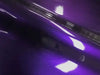 Purple Velvet