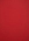 Sirio Color Lampone 115gsm 700mm x 1000mm