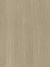 Grey Beech