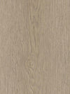 Dyed Oak