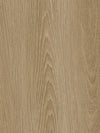Golden Elm