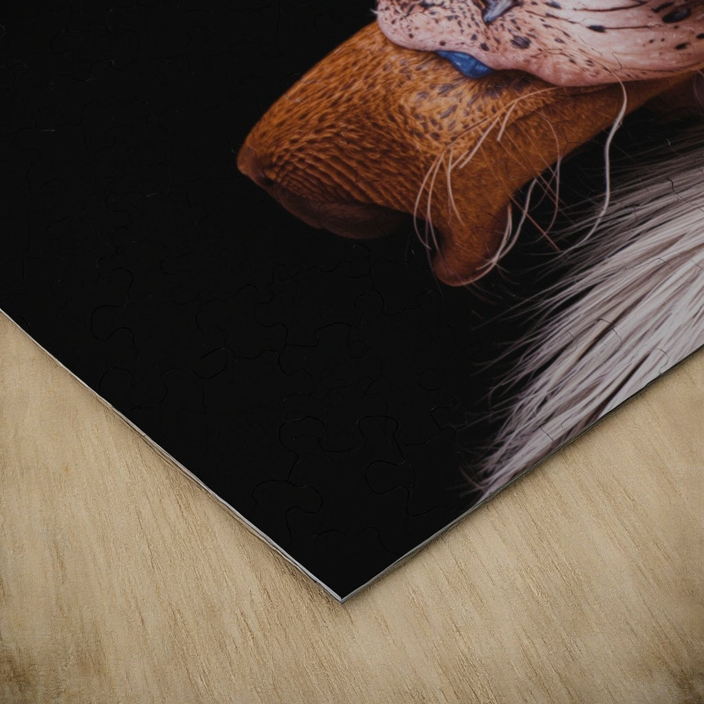 Bauhaus SRace Photo Panel Pro 120gsm
