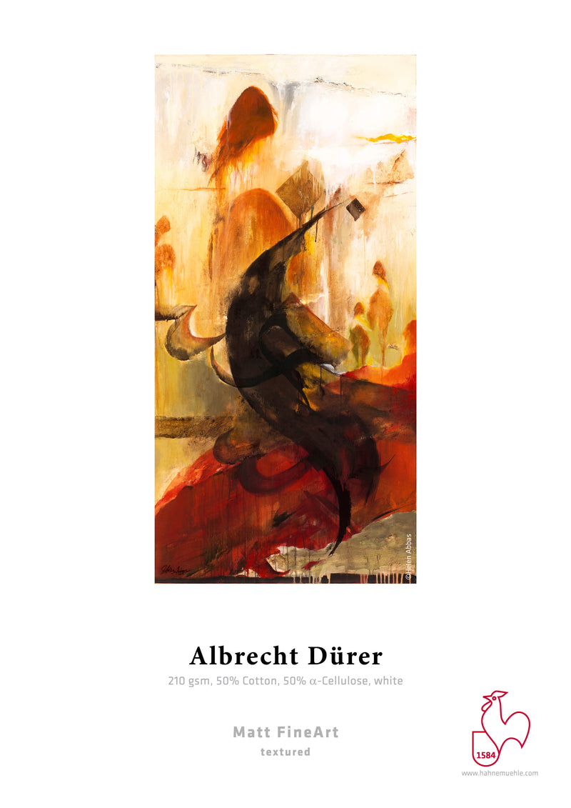 Hahnemühle Albrecht Dürer 210gsm (R)