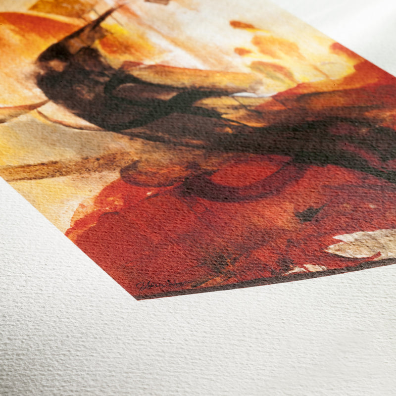 Hahnemühle Albrecht Dürer 210gsm (R)
